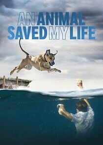 Watch An Animal Saved My Life