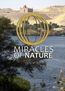 Watch Miracles of Nature