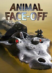 Watch Animal Face-Off