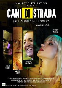 Watch Cani di strada