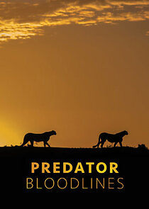 Watch Predator Bloodlines