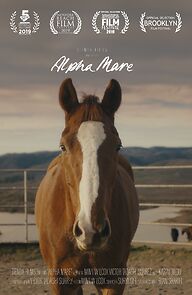 Watch Alpha Mare (Short 2019)