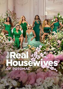 Watch The Real Housewives of Potomac