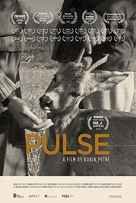 Watch Pulse (Short 2016)