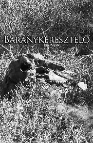 Watch Baranykeresztelo (Short 2018)