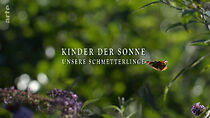 Watch Kinder der Sonne: Unsere Schmetterlinge