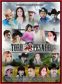 Watch Toro Pesado