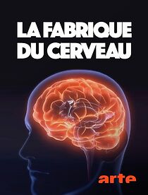 Watch La fabrique du cerveau