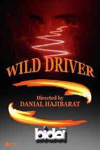 Watch Wild Driver