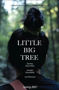 Watch Little Big Tree