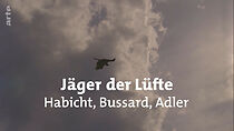 Watch Jäger der Lüfte: Habichte, Bussarde und Adler