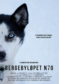 Watch Norway's Great Sled Dog Race: Bergebyløpet N70