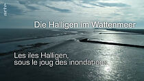 Watch Die Halligen im Wattenmeer