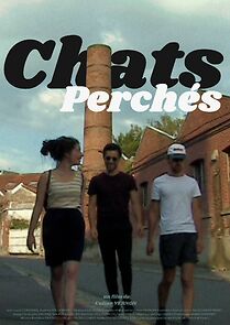 Watch Chats perchés (Short 2019)