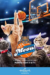 Watch Meow Madness