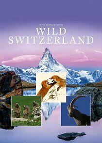 Watch Wild Switzerland