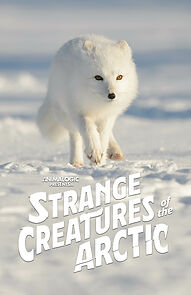 Watch Strange Creatures of the Arctic (TV Special 2022)