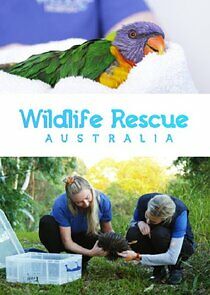 Watch Wildlife Rescue Australia