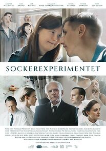 Watch Sockerexperimentet