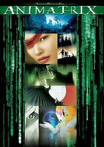 Watch The Animatrix