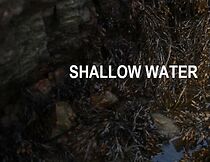 Watch Shallow Water (Short 2022)