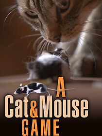 Watch A Cat and Mouse Game