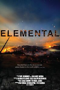 Watch Elemental