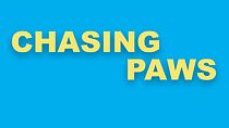 Watch Chasing Paws (Short 2020)