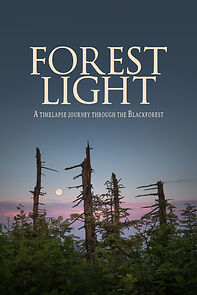 Watch Forest Light - a timelapse journey through the Blackforest (Short 2020)