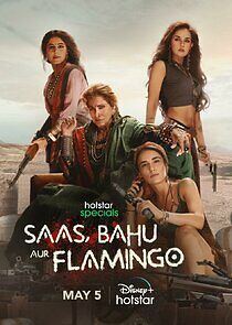 Watch Saas, Bahu Aur Flamingo