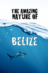 Watch The Amazing Nature of Belize (Short 2022)