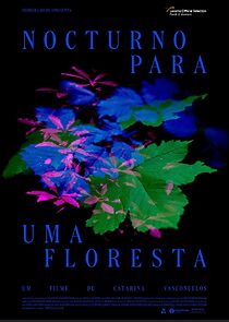 Watch Nocturno para uma floresta (Short 2023)