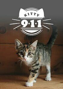 Watch Kitty 911