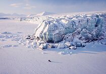 Watch Ghosts of the Arctic (Short 2017)