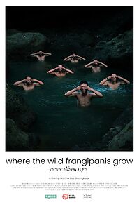 Watch Where the Wild Frangipanis Grow (Short 2023)
