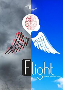 Watch flight (Short 2017)