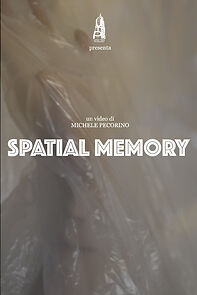 Watch Spatial Memory (Short 2022)