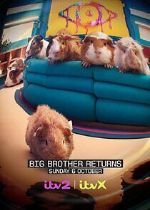 Watch Big Brother