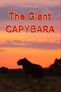 Watch The Giant Capybara (Short 1995)