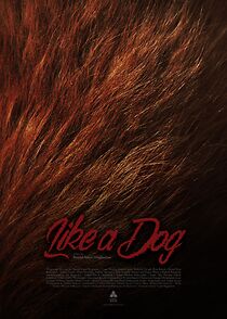 Watch Like a Dog (Short 2023)