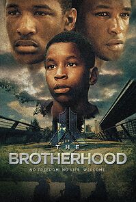 Watch The Brotherhood