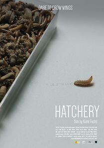 Watch Hatchery