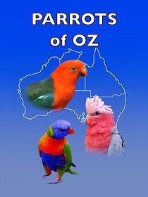 Watch Parrots of Oz (Short 2023)