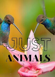 Watch Just Animals