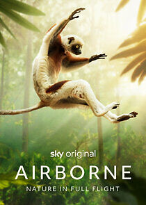 Watch Airborne