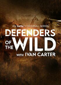 Watch Defenders of the Wild