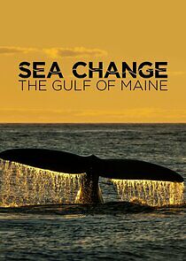 Watch Sea Change: The Gulf of Maine, a NOVA Special Presentation