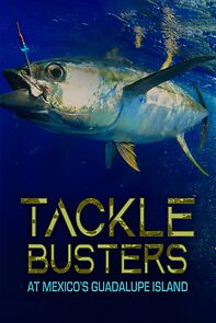 Watch Tackle Busters at Mexico's Guadalupe Island