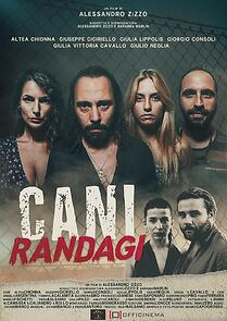 Watch Cani randagi