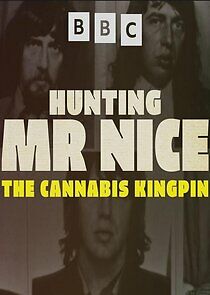 Watch Hunting Mr Nice: The Cannabis Kingpin